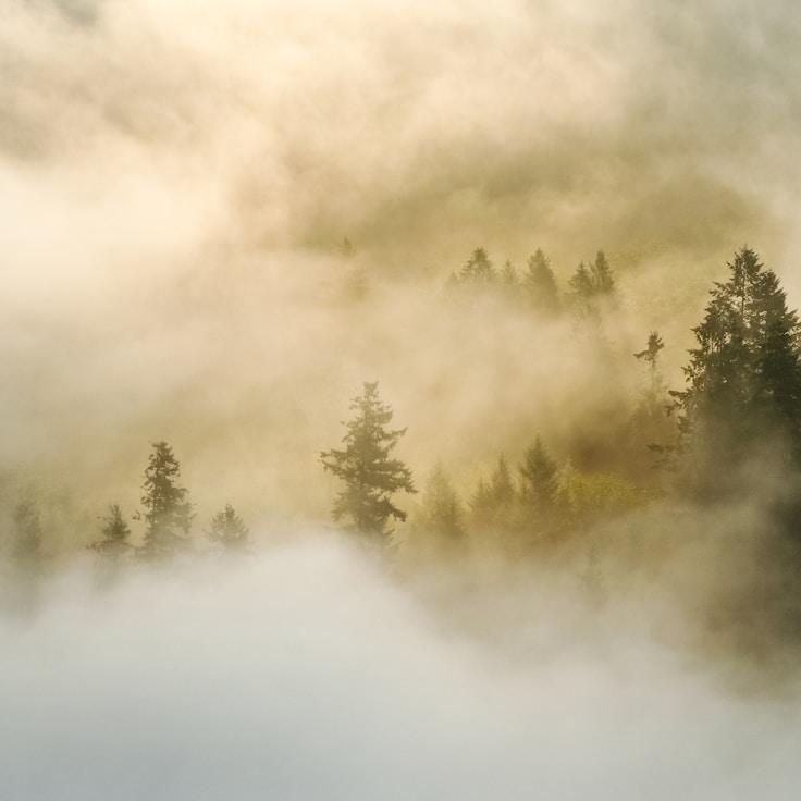 Protected areas overview